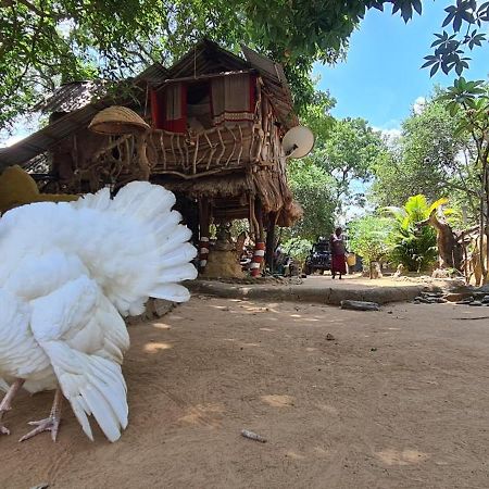 Humbhaha Jungle Yala Nature Eco Resort Катарагама Екстер'єр фото