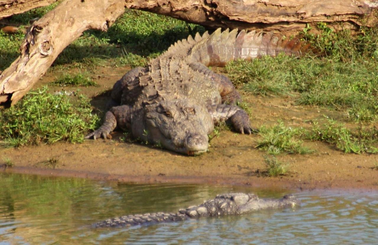 Humbhaha Jungle Yala Nature Eco Resort Катарагама Екстер'єр фото