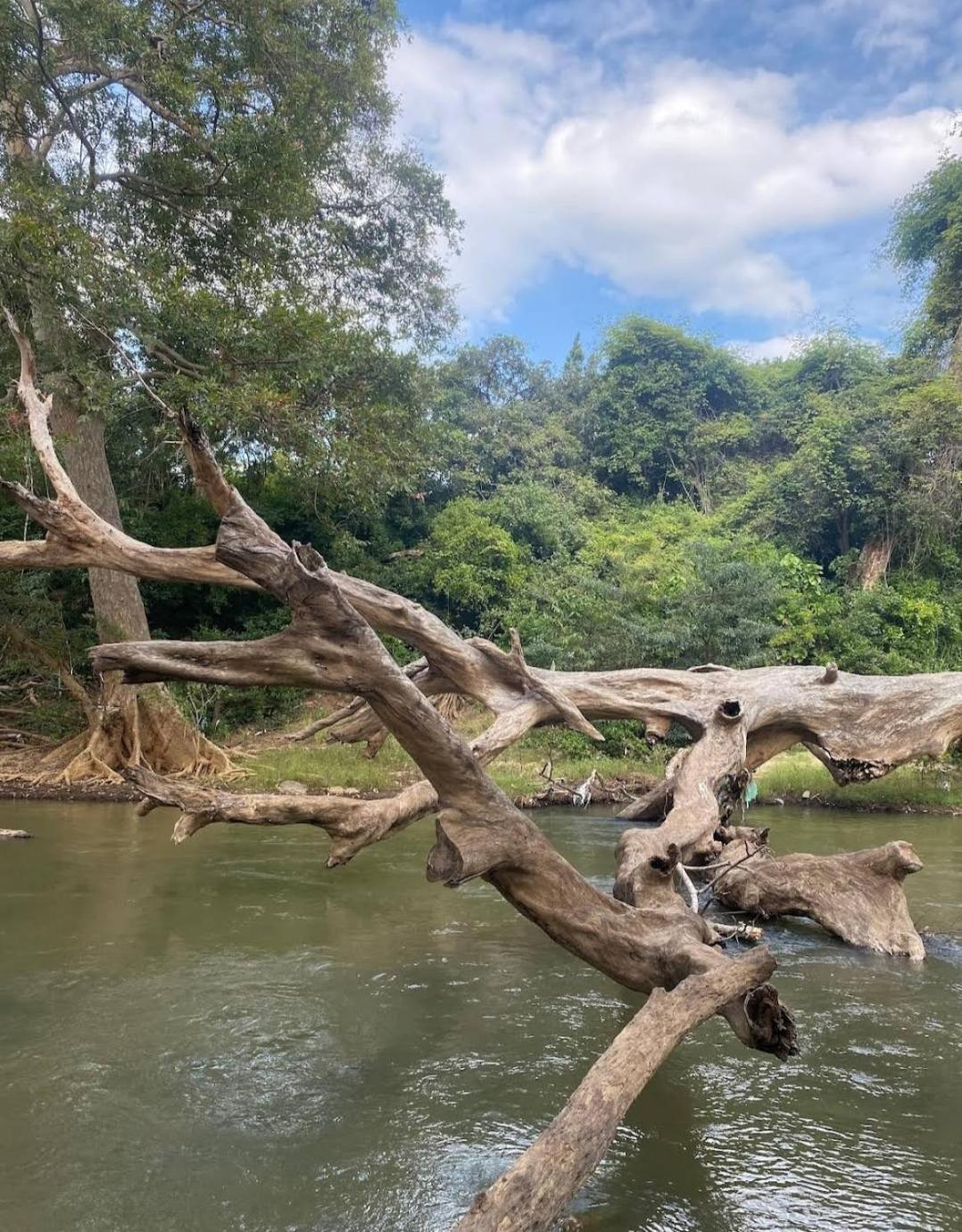 Humbhaha Jungle Yala Nature Eco Resort Катарагама Екстер'єр фото