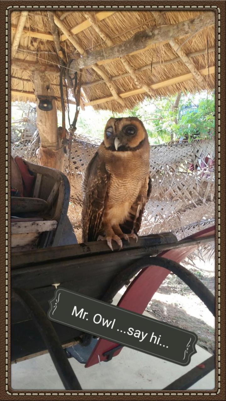Humbhaha Jungle Yala Nature Eco Resort Катарагама Екстер'єр фото