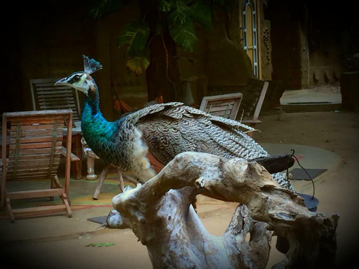 Humbhaha Jungle Yala Nature Eco Resort Катарагама Екстер'єр фото